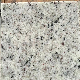 G603/G602/G562/G682/G664/G654/G655/G687 Granite Slab/Tiles/Treade/Staris Yellow/Red/White/Black/Grey/Pink/Green/Brown/Beige/Blue Granite Countertop Marble Tile manufacturer