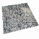 High Quality Granite Tiles Indoor Kitchen Countertop Outdoor Floor Paving Granite Slab Tiles