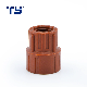 Pph PPR Plastics Manufacturer Pipe Fitting Thread Reducer for Water Supply