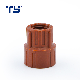  Pph PPR Plastics Manufacturer Pipe Fitting Thread Reducer for Water Supply
