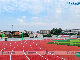  Hot Sale Air Permeable Running Track for Sports Flooring/ Playground with Shock