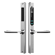 Tuya Smart SUS304 Stainless Steel Door Handle Hardware Keyless WiFi Waterproof Fingerprint Lock for Slim Aluminum Door