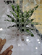 Golden Quality, Deep Clear Acid Etched Decorative Glass/ Laminated Glass