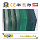  6.38mm 8.38mm 10.38mm Clear/Tinted Laminated Glass Safety Glass for Door Window