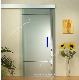 2-19mm Tempered Acid Etched Frosted Sandblasted Shower Room Door Glass