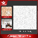 Calcium Silicate Tile Calcium Silicate Board for Decoration Material