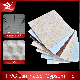 PVC Laminated Gypsum Tile Ceiling- (103) Ceiling Board for Building Material