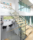 Steel Modern Cat Ladder Design Straight Indoor Staircase/Wooden Tread Ladder