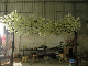 Indoor Cherry Blossom Plants Trees Flower Willow Decoration Wedding