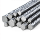 Hrb 400 600 Rebar Manufacturer ASTM Brand Complete Sales Galvanized Carbon Steel Bars