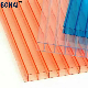 Langfang Bonai High Quality Transparent Polycarbonate Twin Wall Hollow PC Sheet