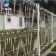  Good Quality Fence Panel 3D Curved Welded Wire Mesh Fence