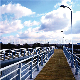 RSs-cb054 Foot Bridge Traffic Crash Barriers Guardrail Handrail