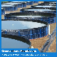 Customized HDPE/LDPE/PE/EV/Ecb/PVC Textured/Composite Geomembrane Manufacturer for Aquaculture/Fish Farm/Shrimp/Pond/Dam/Landfill/Mining/Salt/Tailing Liner