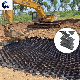  Black/Green/White Honeycomb Grid/Geoceldas/Pavers/Material Geocell/Pet/HDPE/EVA with ISO/CE/ASTM