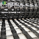  Plastic Biaxial Uniaxial PP Polypropylene Polyester Fiberglass HDPE Geogrid Combi Grid Geogrid Price
