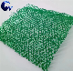  Erosion Control Mat Manufacturer Multi Layer Three Dimensional 3D Geomat