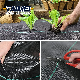 Biodegradable and Recyclable Black Color Polypropylene Weed Barrier PP Woven Ground Cover Weed Mat for Garden Lawns and Nursery