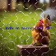  PVC Coated Galvanized Chicken Wire Mesh Chicken Wire Netting 3/4 Inches Wire Mesh for Chicken Coop