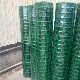 Green Plastic Coated Wire Mesh/PVC Wire Mesh Roll manufacturer
