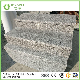  G623/ Rosa Beta Very Competitve Price Quarry Owner Grey Color Granite