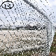  Woven Wire Mesh Diamond Fencing Price Garden PVC Coated Chain Link Fence