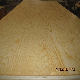  BB/CC Commercial Plywood for Furniture, Packing and Construction