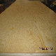 BB/CC Commercial Plywood for Furniture, Packing and Construction