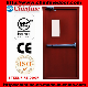  Fire Rated Steel Fire Door with BS Certificate (CF-F008)