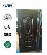  3D New Design Metal Door (RA-S010)