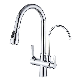 Hot Chrome Double Handle Dual Function Nozzle Pull Down Purifier Bathroom Kitchen Sink Faucet manufacturer