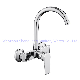 Huadiao Wall Mounted Kitchen Mixer Zinc Sink Faucet