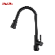 Tiema Pull out Brass Torneira Cozinha Black Sink Kitchen Taps