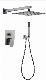 2 Function Wall Concealled Shower Faucet with Ss Shower Head