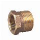 Bronze Male Nipple /Bronze Coupling manufacturer