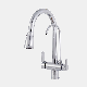  Grass Kitchen Faucet with Water Purify