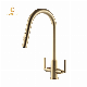 Kitchen Faucet Factory Jiangmen Faucet Brass Kitchen Sink Tap Golden Faucet Double 2 Handle Kitchen Put Down Faucet