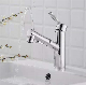  Pull-out Black Brass Bathroom Tap Sanitary Ware Wholesale Kitchen Basin Mixer