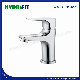  Brass Faucet Basin Mixer Water Tap Sanitary Ware (FT308-11)