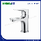Brass Faucet Basin Mixer Water Tap Sanitary Ware (FT308-11)
