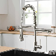  North American Design Styles Luxury Single Lever Spring Pull-Down Kitchen Sink Faucet Mixer