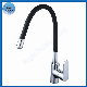 Popular Kitchen Faucet with Color Black Pipe Sanitary Water Tap manufacturer