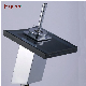 Fyeer Single Lever Waterfall Black Glass Basin Faucet