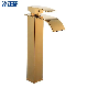 Zb6109 Gold Modern Popular Hot Sale Stainless Steel Bathroom Basin Faucet