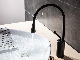 Single Handle Matte Black Swan Neck Water Drop Basin Faucet