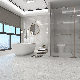 Hot Style Chinese Gray Rustic Walls and Floors Glazed Bathroom Floor Tiles