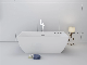  Stand Alone Acrylic Freestanding Bathtub for Bathroom Soaking Bath Tub Sanitary Ware