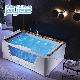  Joyee 4 Person Indoor Apollo Massage Whirlpool 2 Sided Corner Hot Bath Bathtub with Jacuzzy