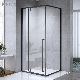 Customization Black Framed Bathroom Pivot Tempered Glass Shower Enclosures