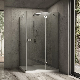  Hinged Frameless Shower Enclosures with Stainless Steel Support Bar Shower Rooms